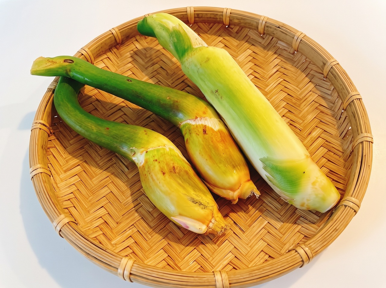 収穫したばかりのマコモダケ