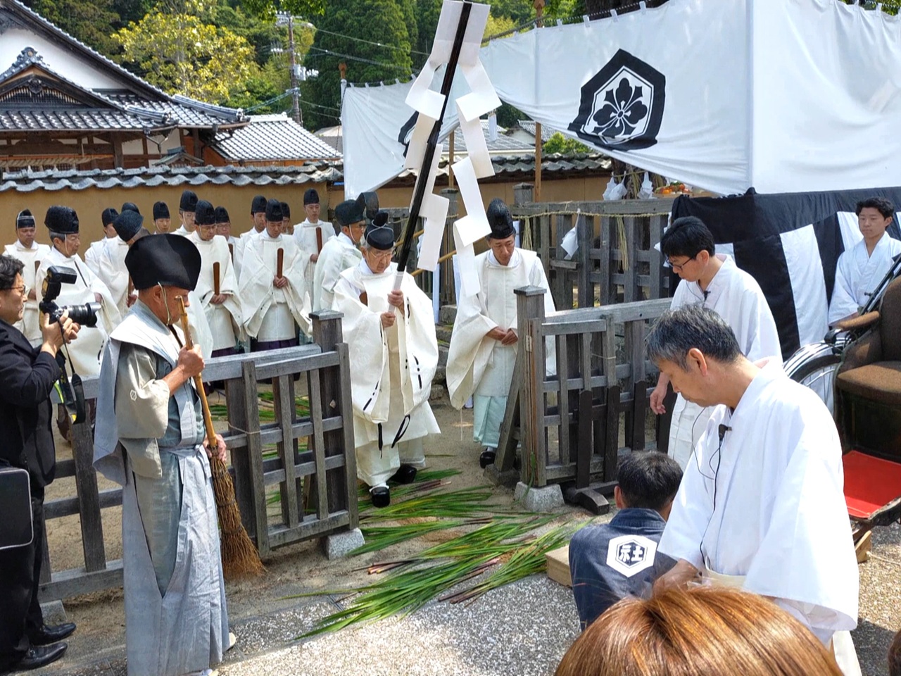 出雲大社の神事（涼殿祭）で使われる真菰